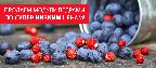 Продаем модули ведрами! Продаем модули ведрами!