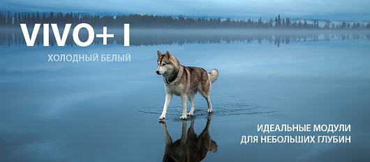 VIVO+1 в холодном белом оттенке