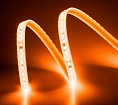 Лента светодиодная ELFLED 120SMD диодов (2835), 220В, IP67, 1м, оранжевый