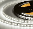   ELF 600SMD  (2835), 12, 5  ,  6500-7000