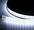    ELF 600SMD (2835), 12, IP68, 5, 
