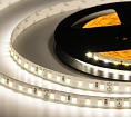  ELF 600SMD  (2835), 24, 5,   5000-5500