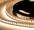   ELF 960SMD  (2835), 36, 5, ,   2800-3300