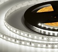   ELF 600SMD  (2835), 24, 5,  6500-7000