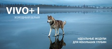 VIVO+1 в холодном белом оттенке