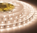   300SMD  (2835)  , 12, 5,  