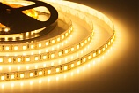   600SMD  (2835)  , 12, 5,  