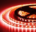   ELF, 480SMD (2835), 12, 120, 5, 