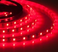   ELF 300SMD  (2835), 12, 5, 
