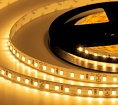   ELF 600SMD  (2835), 24, 5,   2800-3300