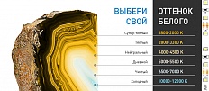 Выбери свой оттенок белого!