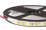 Лента светодиодная ELF 600SMD диодов (2835), 24В, 5м, белый 6500-7000К