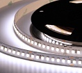   ELF 960SMD  (2835), 36, 5, ,  6500-7000