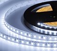   ELF 600SMD  (2835), 12, 5  ,   10000-12000