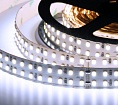  ELF 1400SMD  (2835), 24, 5, ,  6500-7000