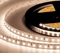 Лента светодиодная ELF 600SMD диодов (2835), 12В, 5м без пайки, белый нейтральный 4000-4500К