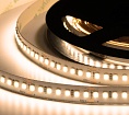   ELF 980SMD  (2835), 24, 5, ,   2800-3300