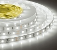   ELF 300SMD  (2835), 12, 5,  6500-7000